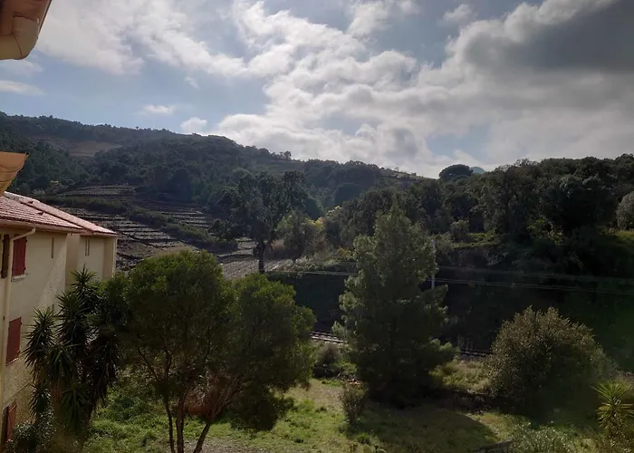 4vse-lam55 Avec Vue Degagee Proche Daire Collioure